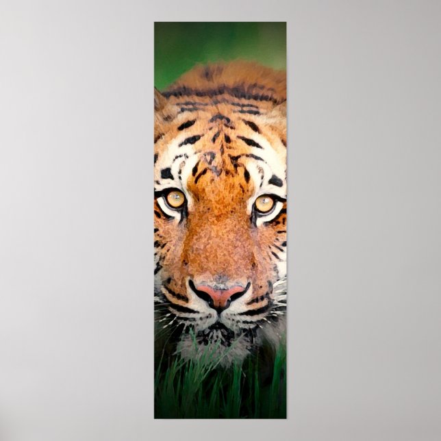 Sumatran Tiger Eyes Poster (Front)