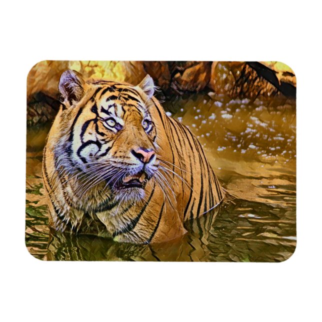 Sumatran Tiger in water painting Magnet (Horizontal)