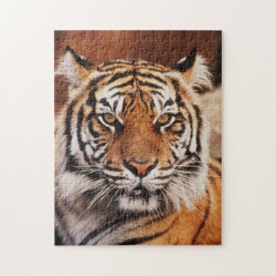Sumatran Tiger Jigsaw Puzzle