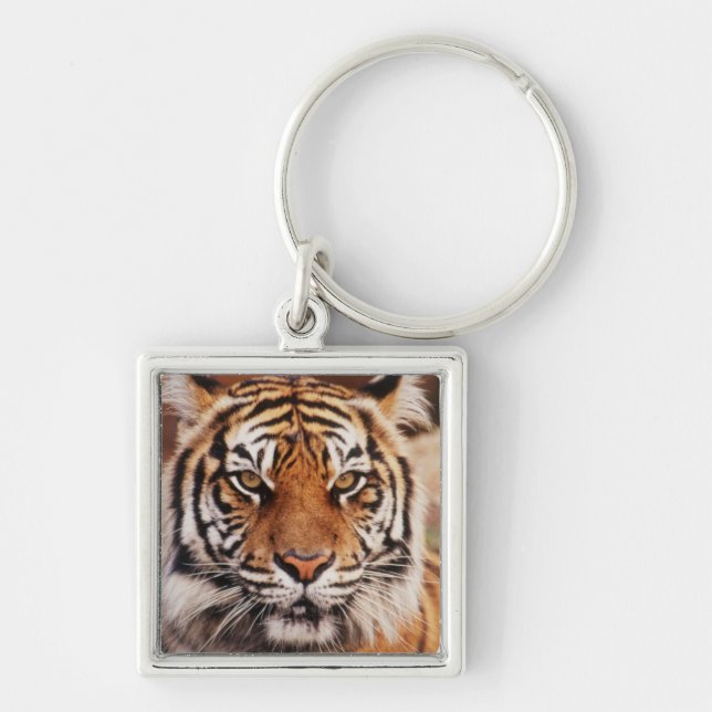 Sumatran Tiger Key Ring (Front)
