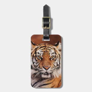 Sumatran Tiger Luggage Tag