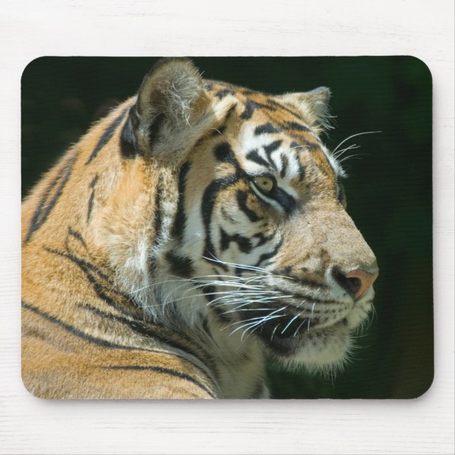 Sumatran Tiger Mousepad (Front)