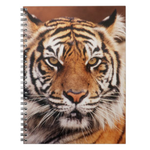 Sumatran Tiger Notebook