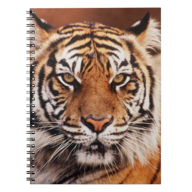 Sumatran Tiger Notebook (Front)