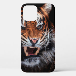 Sumatran tiger (Panthera tigris sumatrae) beautifu iPhone 12 Case