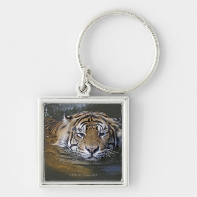 Sumatran tiger, Panthera tigris sumatrae Key Ring (Front)