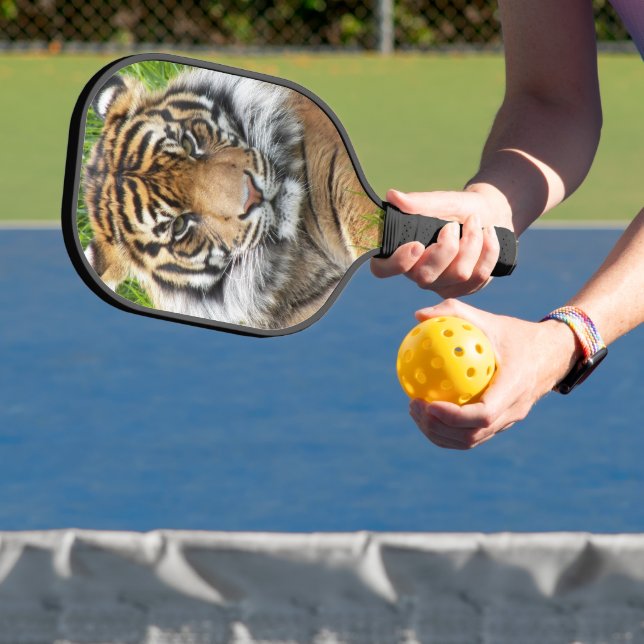 Sumatran Tiger Photo Pickleball Paddle (Insitu)