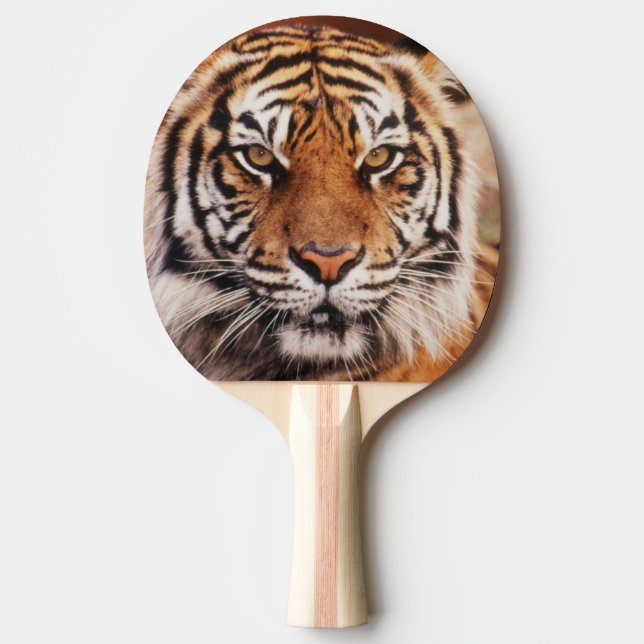 Sumatran Tiger Ping Pong Paddle (Front)
