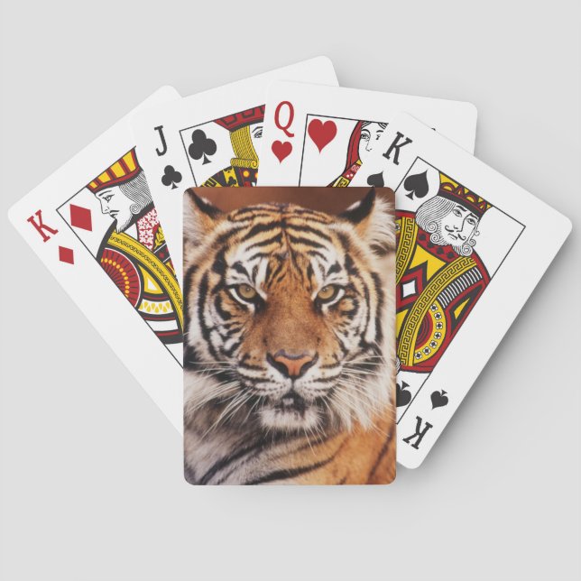Sumatran Tiger Playing Cards (Back)