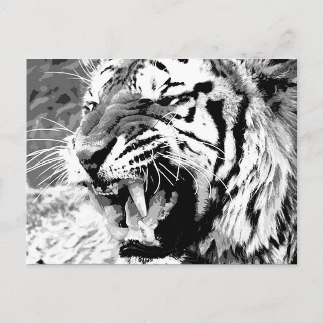 Sumatran Tiger Postcard (Front)