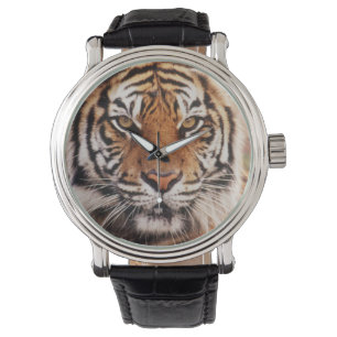 Sumatran Tiger Watch