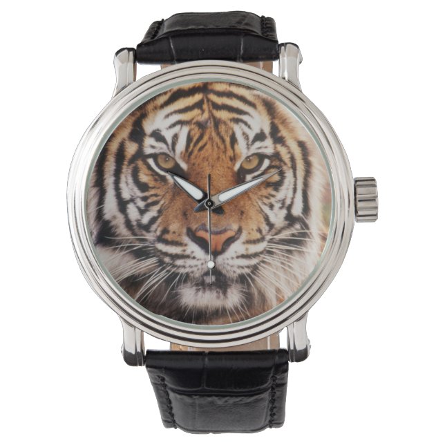 Sumatran Tiger Watch (Front)