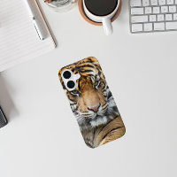 Sumatran Tiger Wildlife Photo