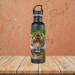Sumatran Tiger Wildlife Photo 710 Ml Water Bottle