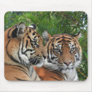 Sumatran Tigers Mouse Pad