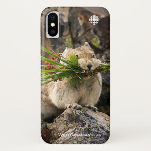 Summer - American Pica iPhone X Case