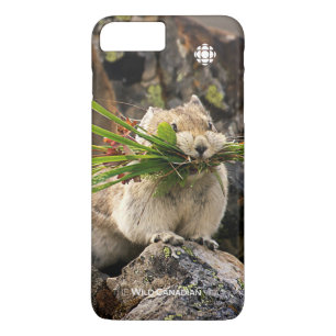 Summer - American Pica iPhone 8 Plus/7 Plus Case