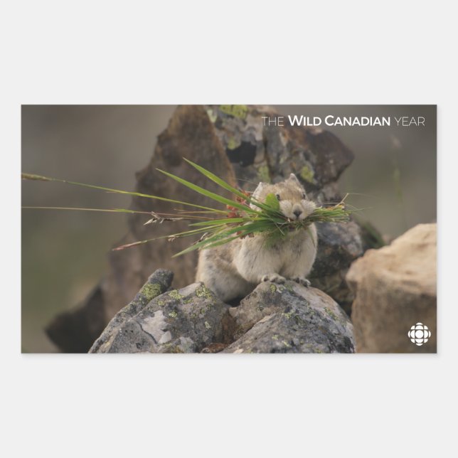 Summer - American Pica Rectangular Sticker (Front)