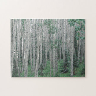 Summer Aspen Grove - Puzzle