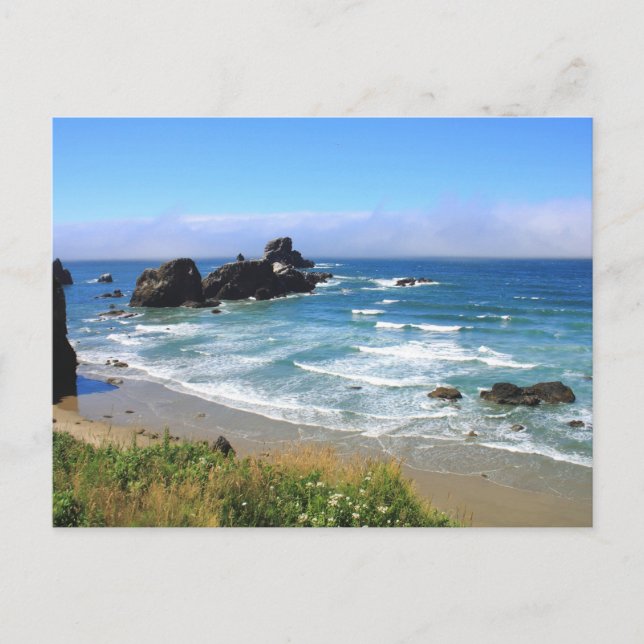 Summer at Seal Rock Oregon Postcard (Front)