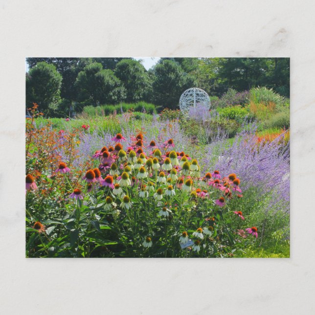 Summer at The strolling Gardens 2013 Postcard (Front)
