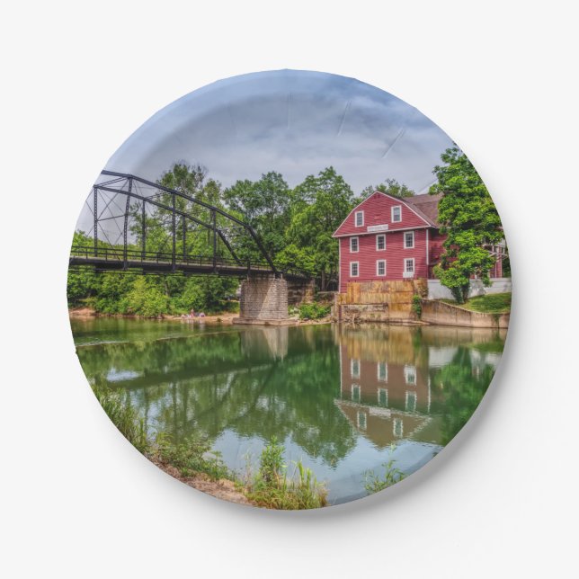 Summer At War Eagle Paper Plates (Front)