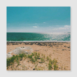 Summer beach day in the Swedish Archipelago