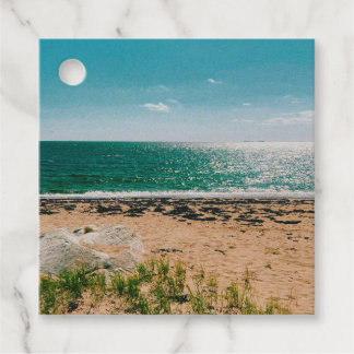 Summer beach day in the Swedish Archipelago  Favour Tags