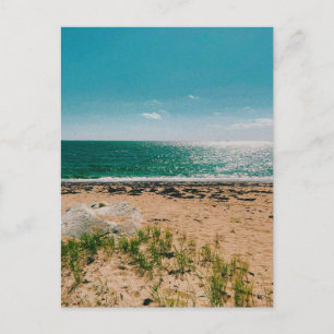 Summer beach day in the Swedish Archipelago Holiday Postcard