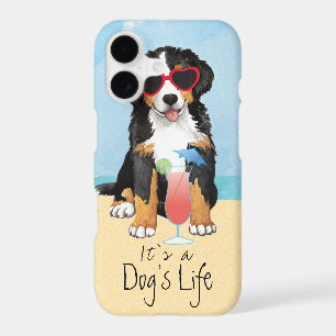 Summer Bernese Mountain Dog