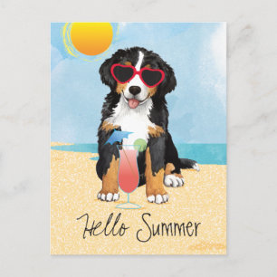 Summer Bernese Mountain Dog Postcard