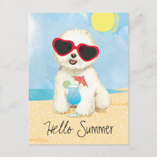Summer Bichon Frise Postcard