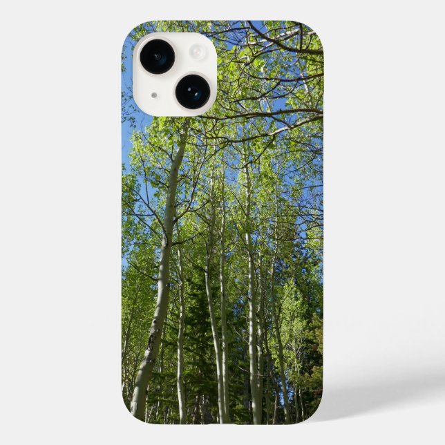 Summer Birch Trees at Rocky Mountain Case-Mate iPhone Case (Back)