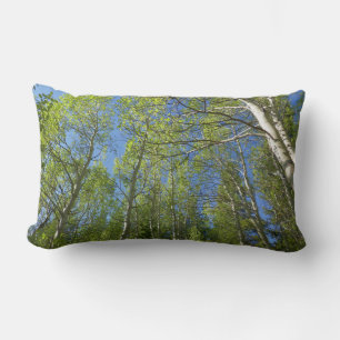 Summer Birch Trees at Rocky Mountain Lumbar Cushion