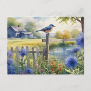 Summer Bird Nature House Postcard Watercolor
