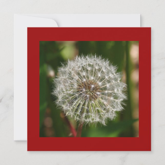 Summer Birthday Party Invitation (Front)