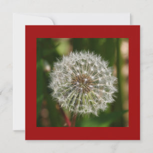 Summer Birthday Party Invitation