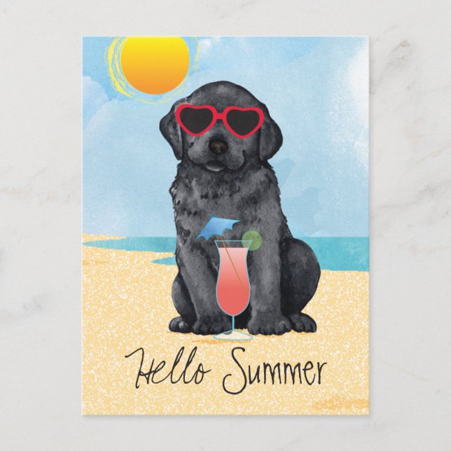 Summer Black Lab Postcard (Front)