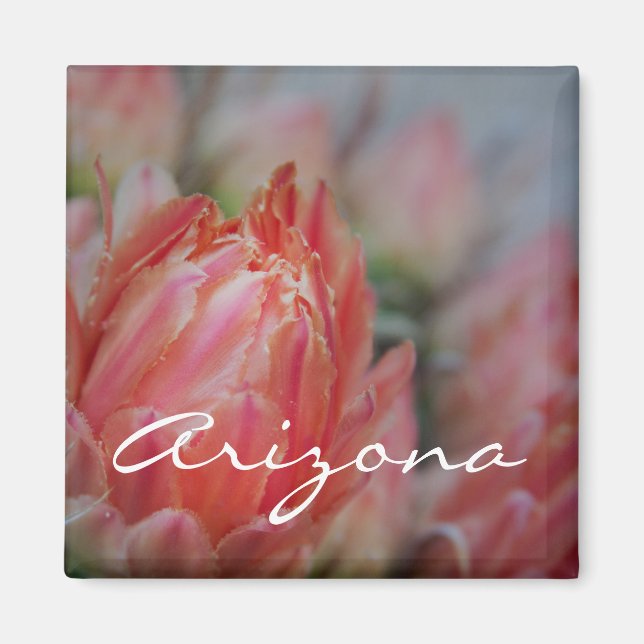 Summer blooms from Arizona Magnet (Front)