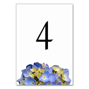 Summer Blue Double Sided Table Number Cards