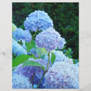Summer Blue Hydrangea Flower ScrapBook paper
