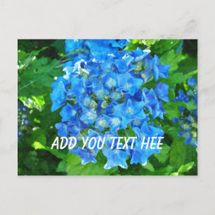 summer blue hydrangea flowers and its green leaves postcard