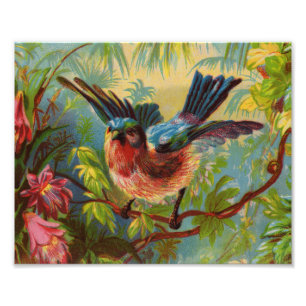 Summer Bluebird Photo Print