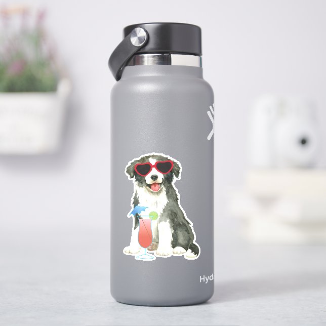 Summer Border Collie Vinyl (HydroFlask)