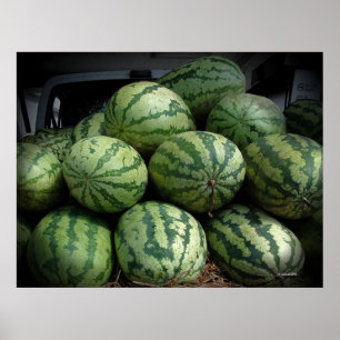 Summer Bounty Poster