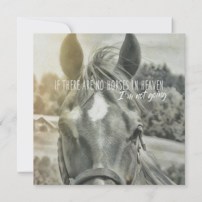 SUMMER BREEZE 5.25 x 5.25 card (Front)