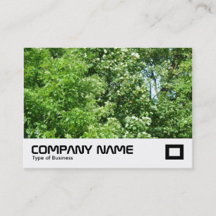 Summer Breeze Business Card