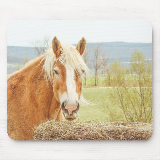 Summer Breeze Palomino Farm Horse Mouse Pad