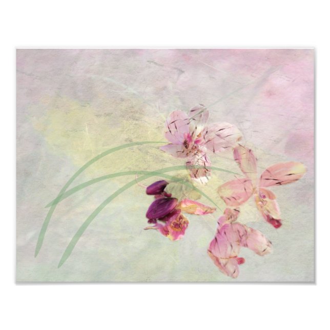 Summer Breeze Photo Print (Front)