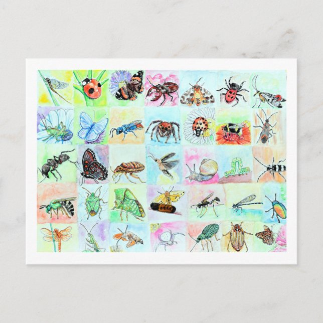 Summer Buggin Collection of Bugs in Watercolor Postcard (Front)